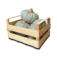 zucca mantovane - cassetta da 12 kg