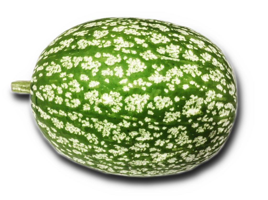 cucuzza virmiciddara