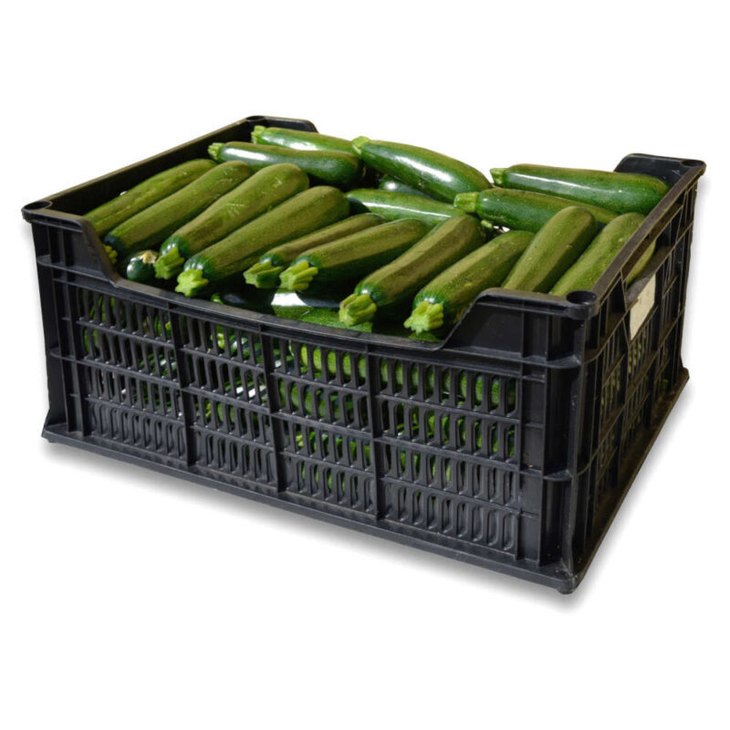 zucchine biologiche varietà Milos